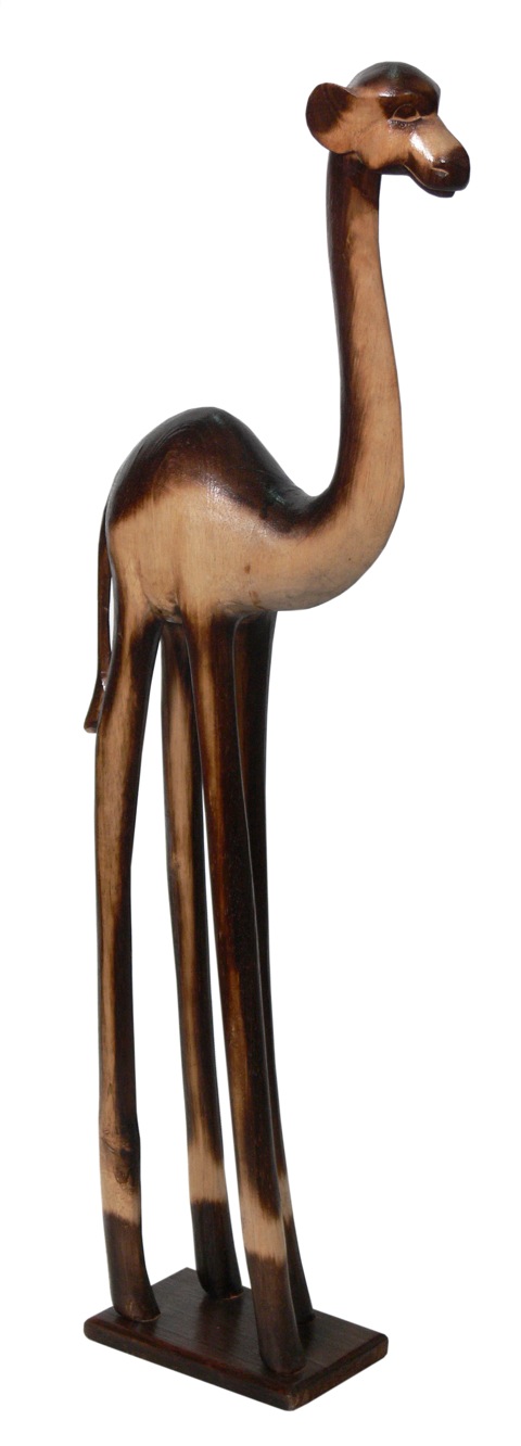 81971 African Camel (H : 150 - 100 cm)