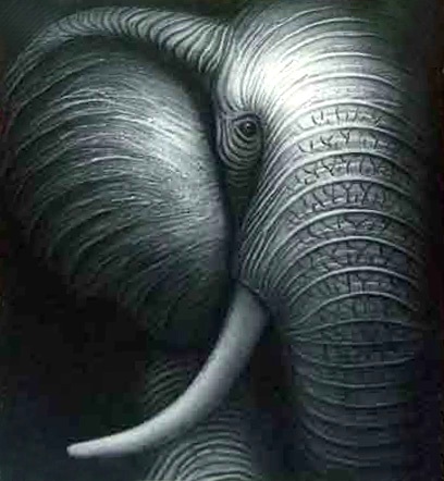HPC13-Elephant-Grey-40x50cm